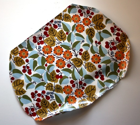 [IMG_4631_4318[2].jpg]