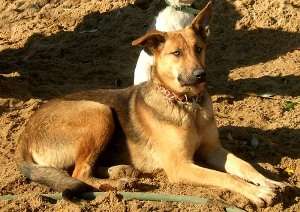birma