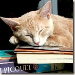 bookcat
