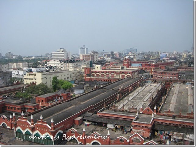 IMG_5232_thumb2 IMG_5232_thumb2