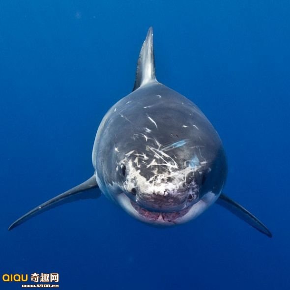 [110119145644224[2].jpg]