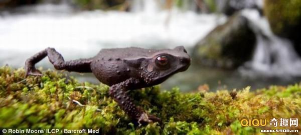 [101202224658413[2].jpg]