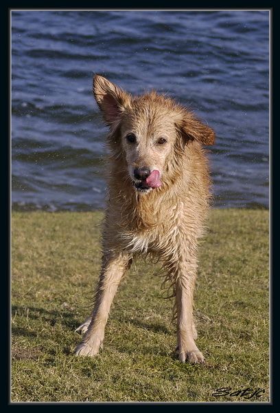 http://lh4.ggpht.com/_QcakjkymBWU/SYWpQKCiNbI/AAAAAAAARKY/wQrbltCy0b0/s800/_1030498a.jpg