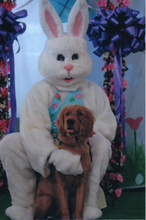 [Easter Bunny photo[4].jpg]