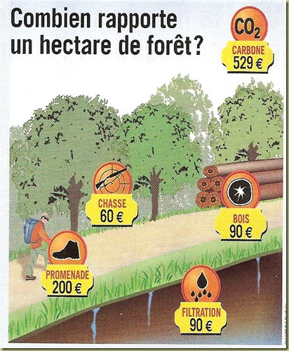 cbienRapp1hadeforêt cbienRapp1hadeforêt