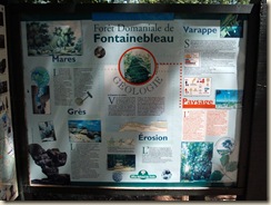 panneaux forêt (2) (1024x768) panneaux forêt (2) (1024x768)