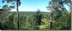 mer d'arbres Panorama (1024x433) mer d'arbres Panorama (1024x433)