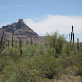 IMG_0126.JPG