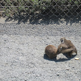 IMG_0423.JPG