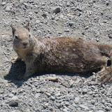 IMG_0425.JPG
