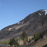 IMG_0345.JPG