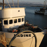 IMG_0389.JPG