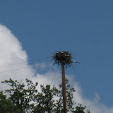 IMG_0491.JPG