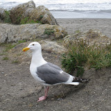 IMG_0540.JPG