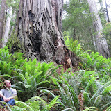 IMG_0559.JPG