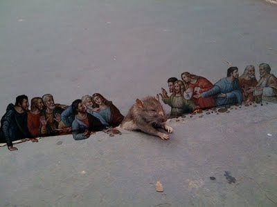 [rat 5[3].jpg]