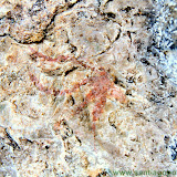 Abrigos Cuevas del Engarbo II