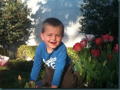 IMG_0130 IMG_0130