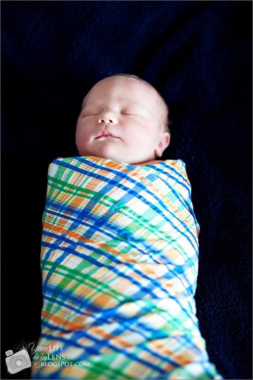 [IMG_2757-copy3.jpg]