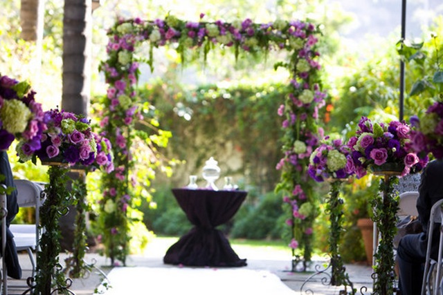 purple_ceremony_9_m