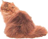 [a5222d6e[2].png]