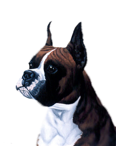 [789a501b[3].png]