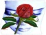 004zj