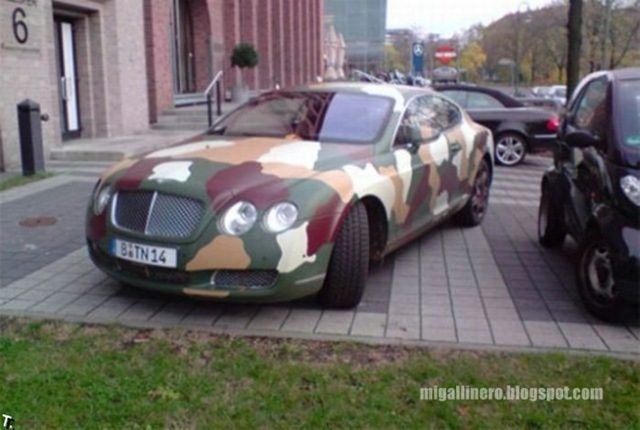 [gallinero - camouflage_cars_09[3].jpg]