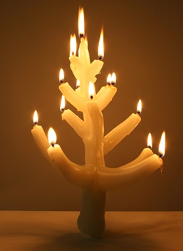 arbol -1 (7)