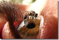 bizarre-eyes3