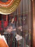 DSC01747.JPG