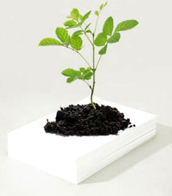 coluna zero, meio ambiente, papel semente, marketing, greenwashing