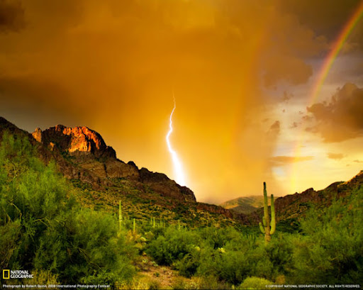 coluna zero, meio ambiente, fotografia, environment, photos, photo of the day, national geographic, imagens