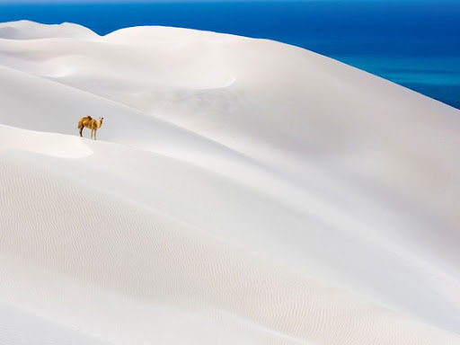 bruno rezende, coluna zero, fotografia, photo, foto, Photo fo the Day, natgeo, national geographic