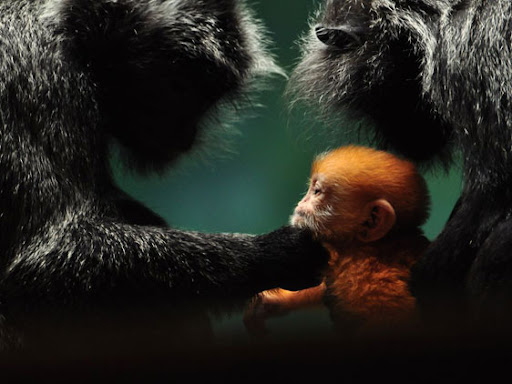 bruno rezende, coluna zero, fotografia, photo, foto, Photo fo the Day, natgeo, national geographic