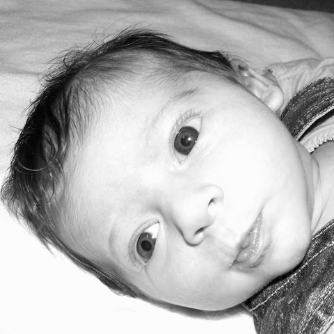 [Elaine 4 weeks square crop.jpg]