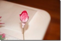 sugarpasterose 025a sugarpasterose 025a