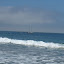 STE_0312.JPG