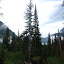 Glacier Park Nyack Loop-106.JPG