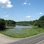 Lake Masterman
