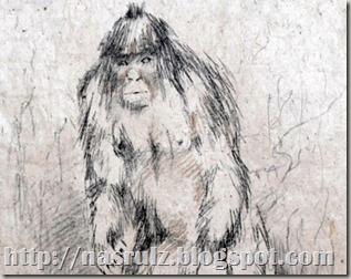 yeti yeti