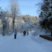 Kychová 2010