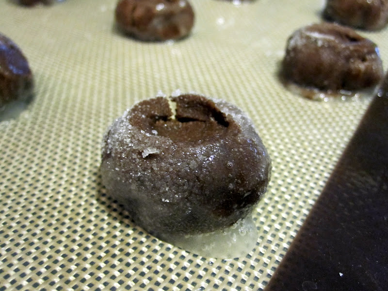 chocolate cookie dough rolled in white granulated sugar