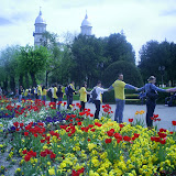 Ziua Pamantului 22 aprilie 2008