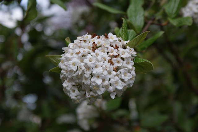 [DSC009182.jpg]