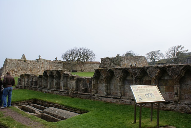 [DSC011552.jpg]