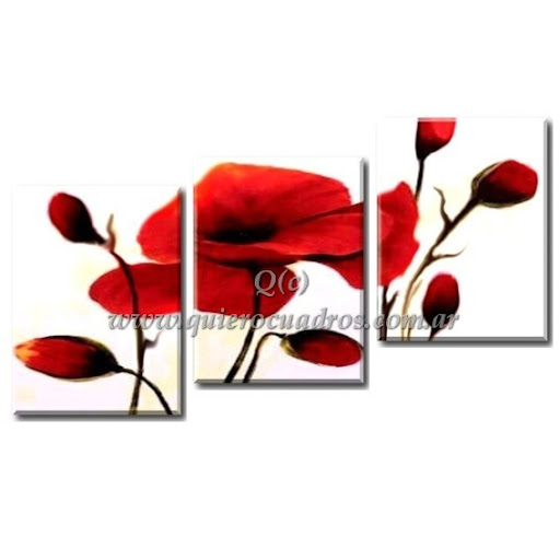 Cuadros de flores Amapolas rojas