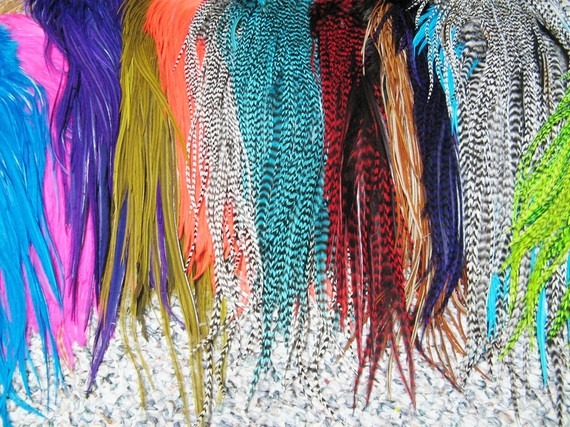 [Feather-Hair-Extensions-Pluckyou4[5].jpg]