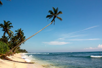 Beach near Galle Sri Lanka