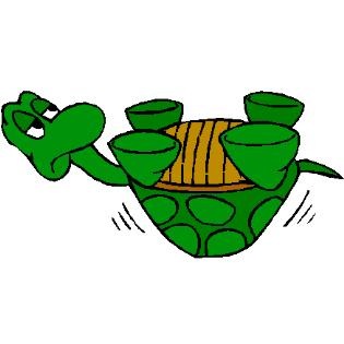 [turtle95.jpg]
